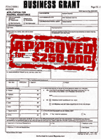 Approved Business Grant Application Sample
